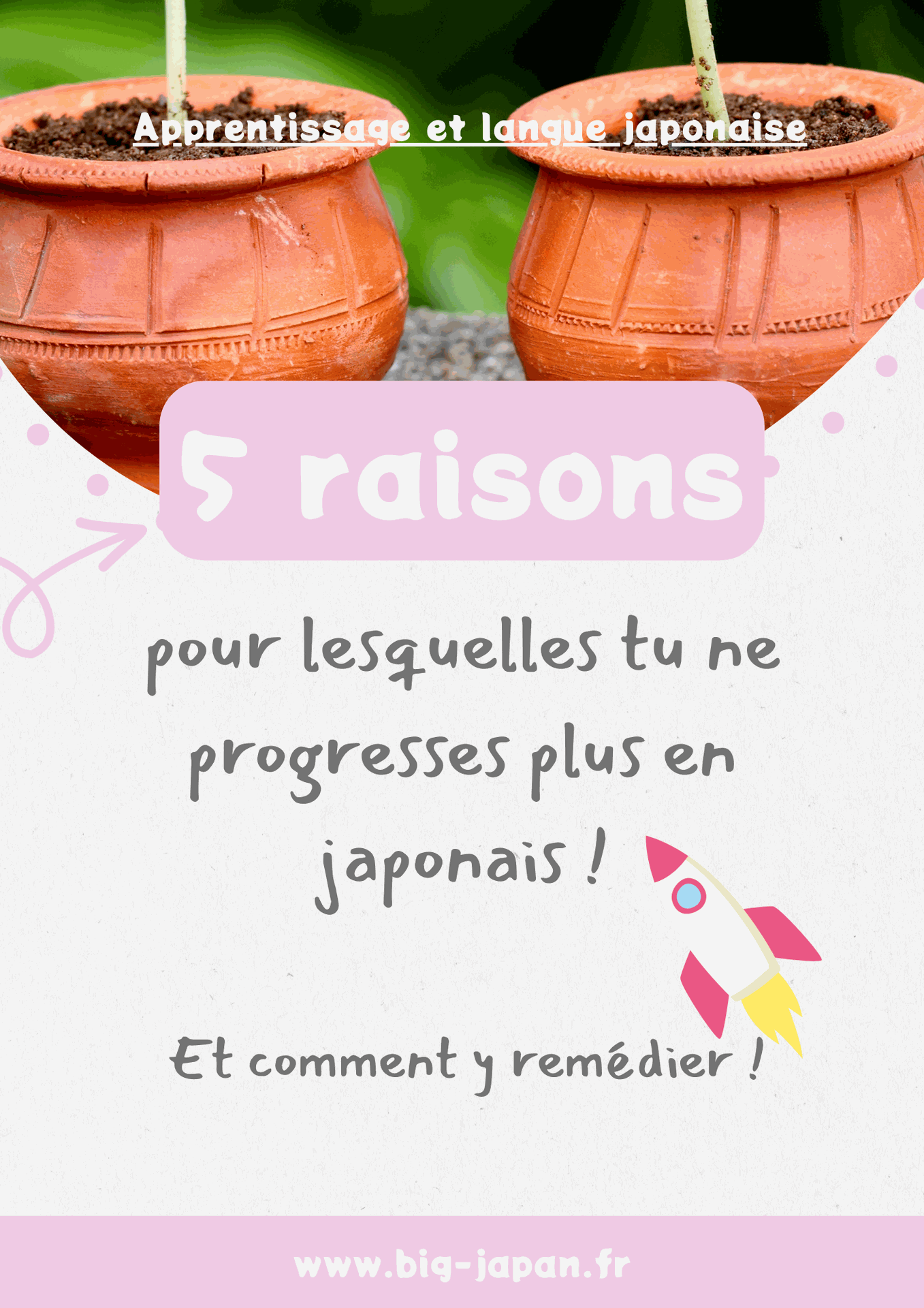 5 raisons pour lesquelles tu ne progresses plus en japonais