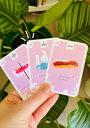 Cartes mnémotechniques kanji N5