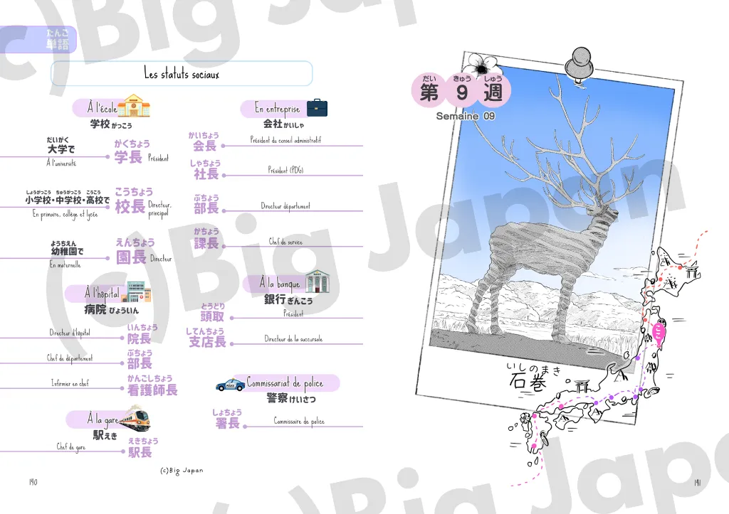 9.webp