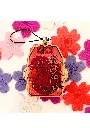 🌸 Omamori - Porte bonheur japonais